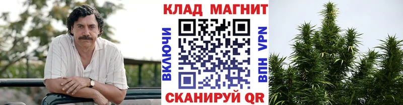 Как найти наркотики Новопавловск ГАШИШ  Каннабис  МЕГА вход  Мефедрон 