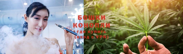 сатива Абдулино