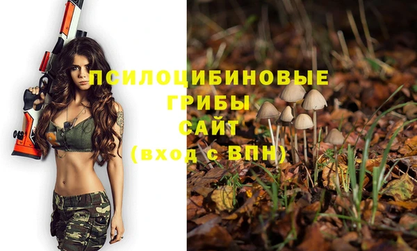 apvp Абинск