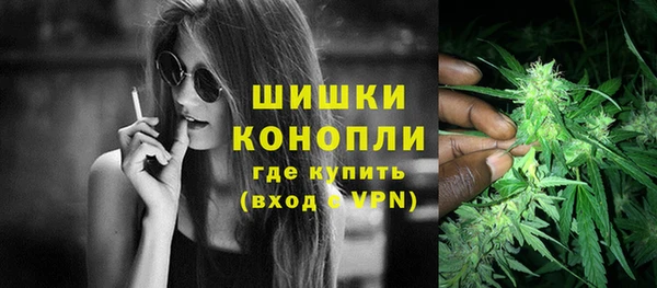 сатива Абдулино