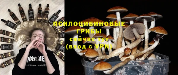 ПСИЛОЦИБИНОВЫЕ ГРИБЫ Алексин
