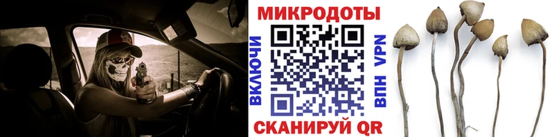Псилоцибиновые грибы Psilocybine cubensis  как найти закладки  Новопавловск 